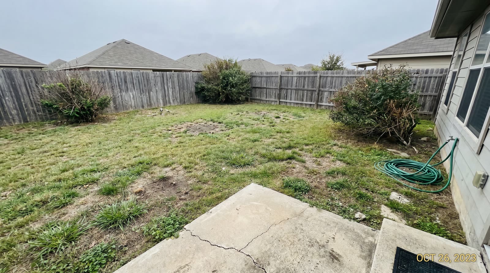 Backyard before